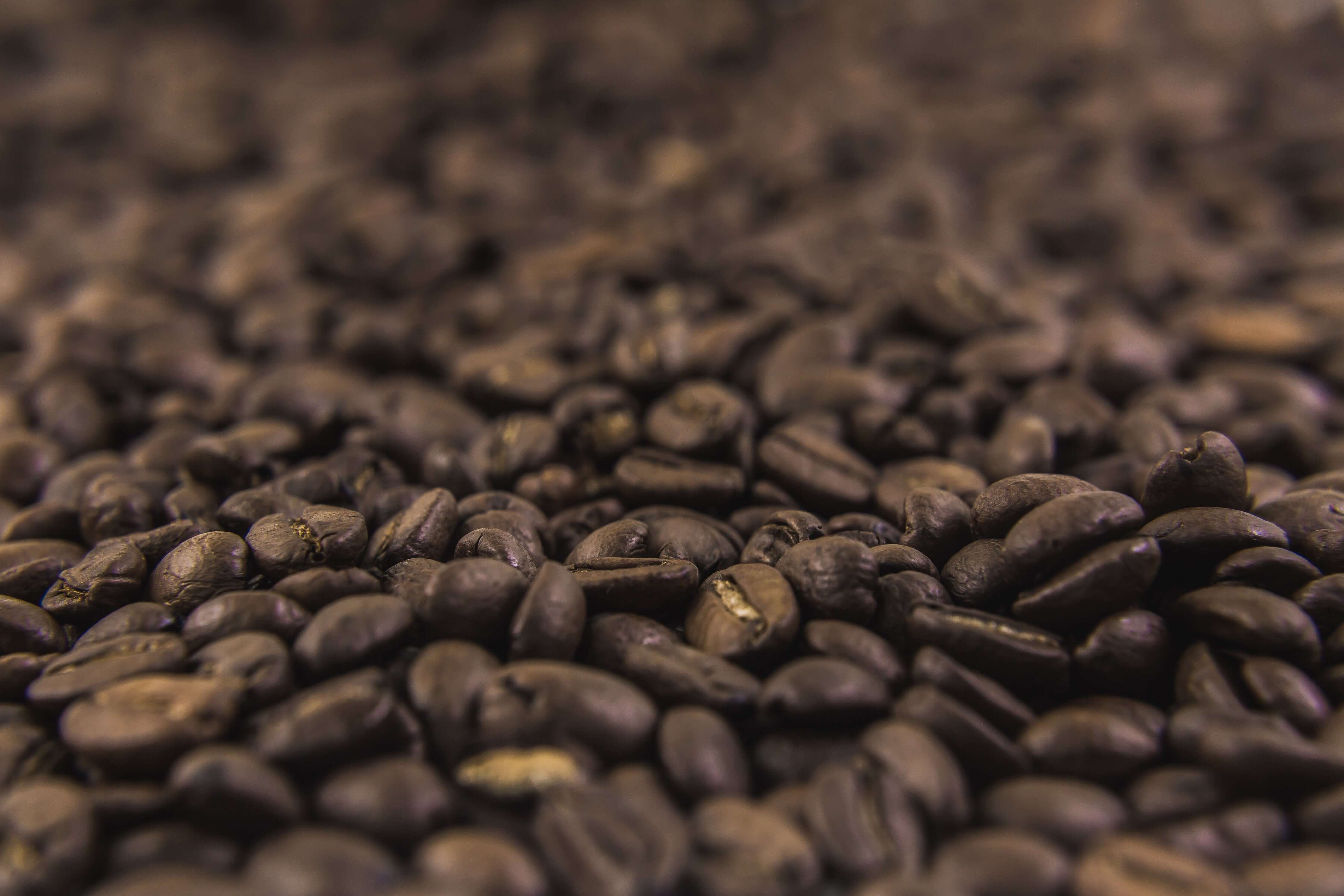 Cafe Espresso RIO. Medium dark roast. Chocolate, earth, nuts, spice. Brazil, Ethiopia, India